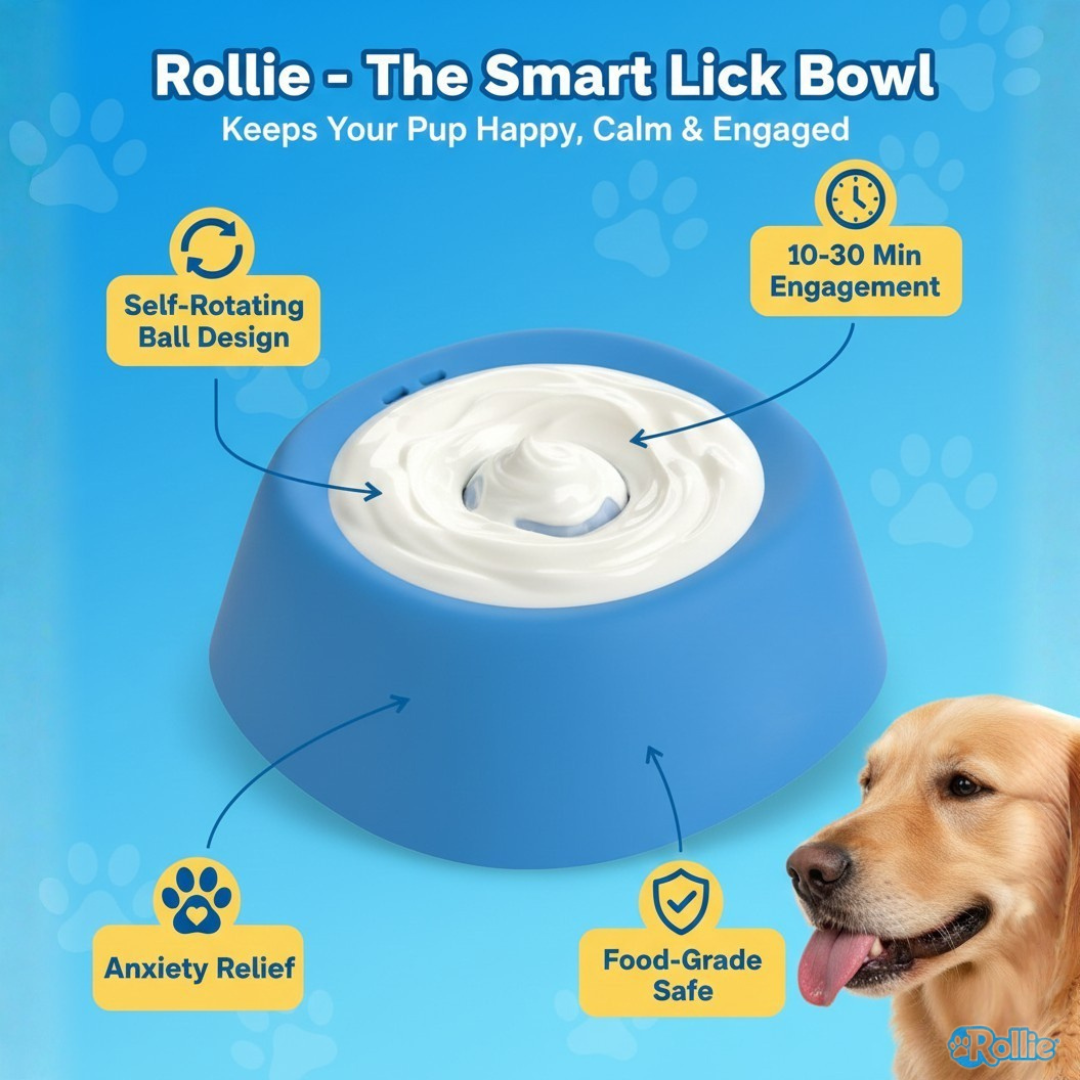 Slow Feeder Dog Bowl