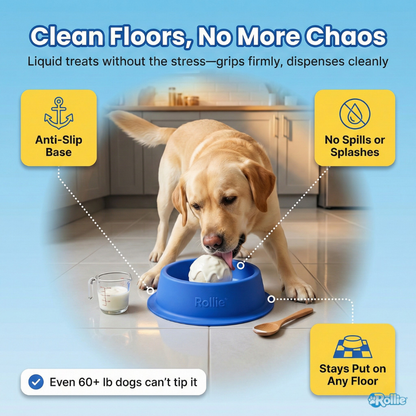 Slow Feeder Dog Bowl