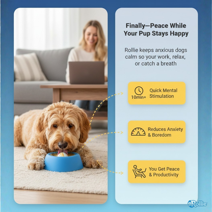 Slow Feeder Dog Bowl