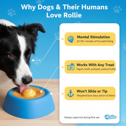 Slow Feeder Dog Bowl