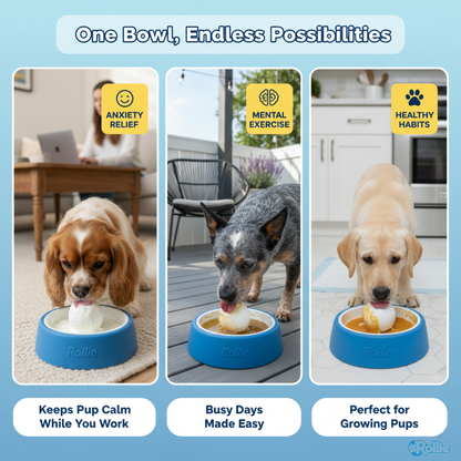 Slow Feeder Dog Bowl
