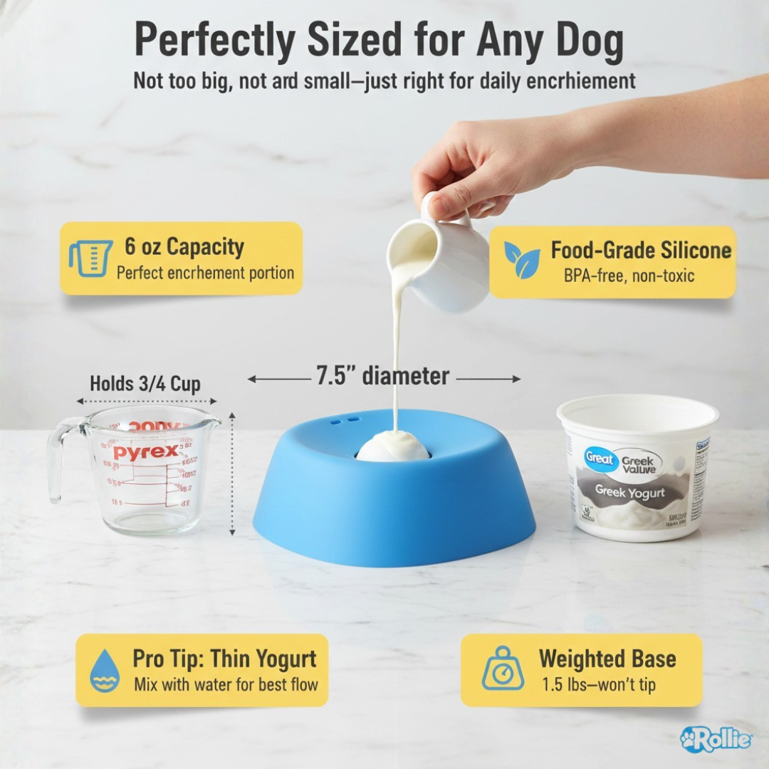 Slow Feeder Dog Bowl