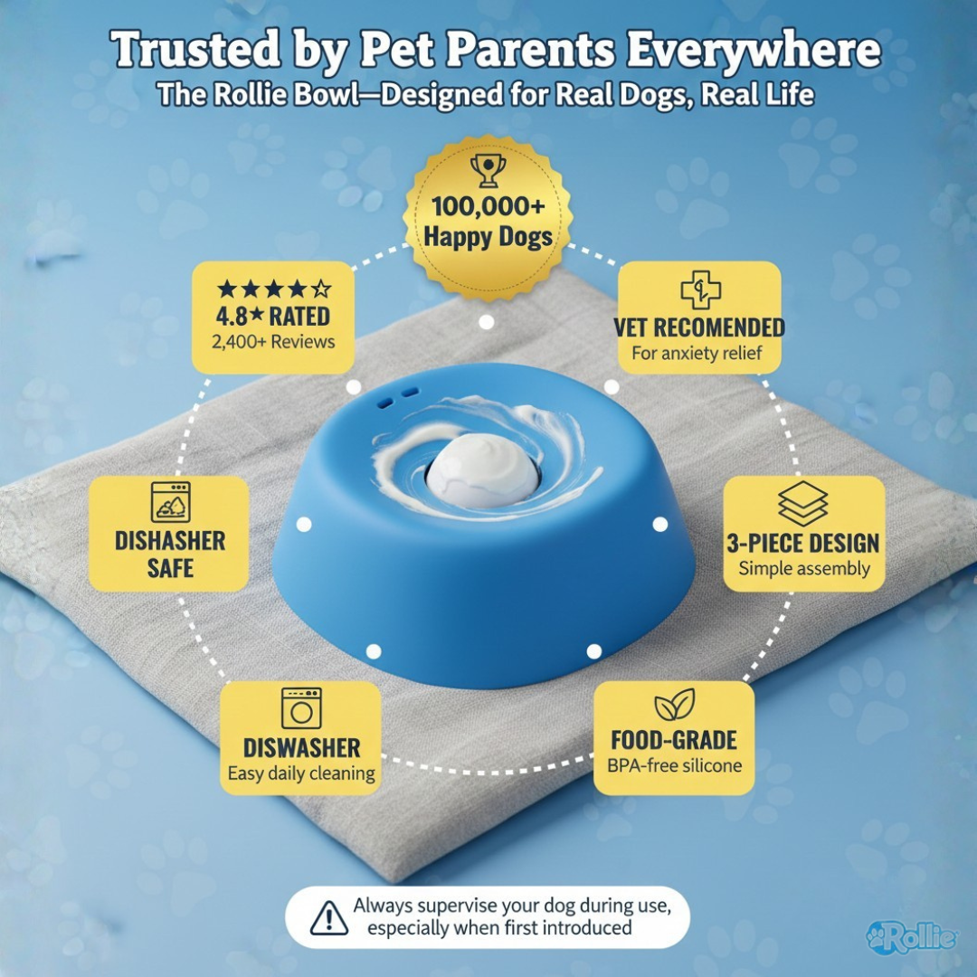 Slow Feeder Dog Bowl