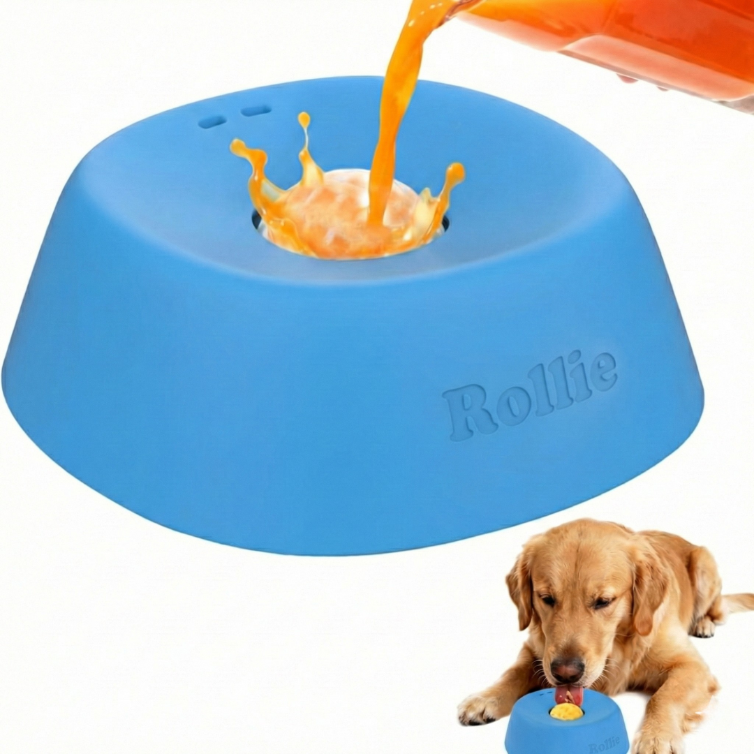 Slow Feeder Dog Bowl