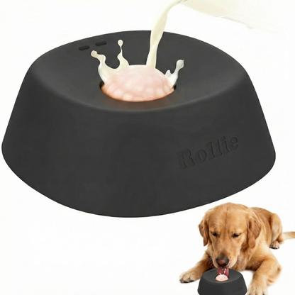 Slow Feeder Dog Bowl
