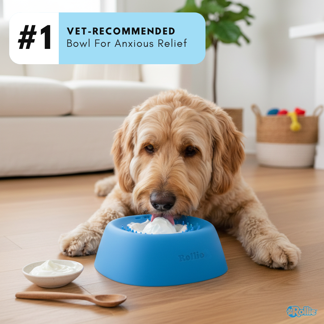 Slow Feeder Dog Bowl