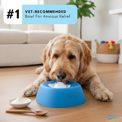 Slow Feeder Dog Bowl